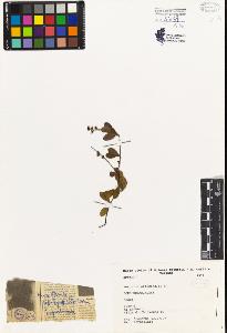 SW_BNB_s3080-04945_IMG-0000000001
