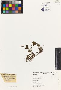 SW_BNB_s3080-04948_IMG-0000000001