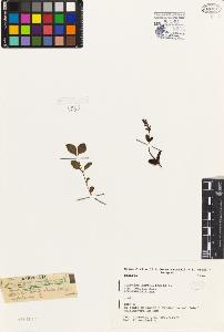 SW_BNB_s3080-04956_IMG-0000000001