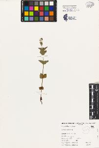 SW_BNB_s3080-04967_IMG-0000000001