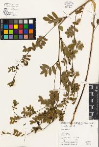SW_BNB_s3080-04979_IMG-0000000001