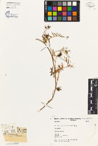 SW_BNB_s3080-04989_IMG-0000000001