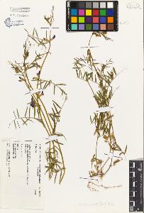 SW_BNB_s3080-05000_IMG-0000000001