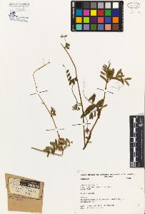 SW_BNB_s3080-05003_IMG-0000000001