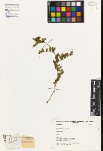 SW_BNB_s3080-05007_IMG-0000000001