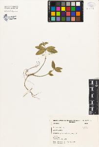 SW_BNB_s3080-05013_IMG-0000000001