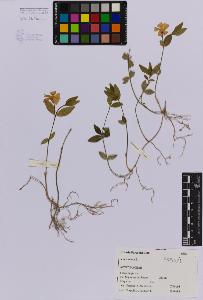 SW_BNB_s3080-05017_IMG-0000000001