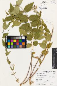 SW_BNB_s3080-05019_IMG-0000000001