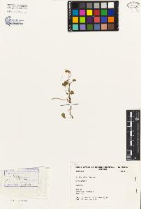 SW_BNB_s3080-05021_IMG-0000000001