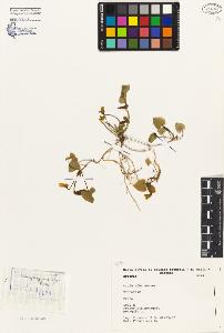 SW_BNB_s3080-05022_IMG-0000000001