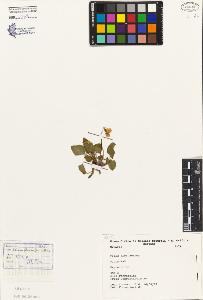 SW_BNB_s3080-05023_IMG-0000000001