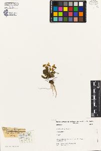 SW_BNB_s3080-05026_IMG-0000000001