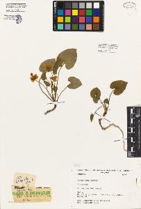 SW_BNB_s3080-05028_IMG-0000000001