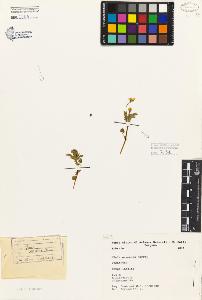 SW_BNB_s3080-05031_IMG-0000000001