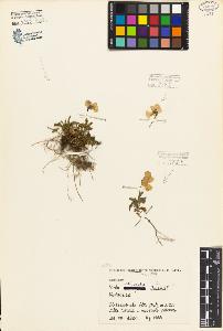 SW_BNB_s3080-05037_IMG-0000000001