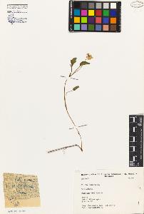 SW_BNB_s3080-05038_IMG-0000000001