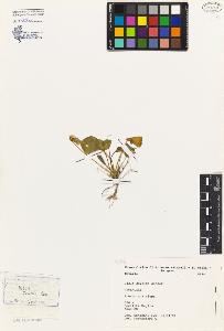 SW_BNB_s3080-05043_IMG-0000000001