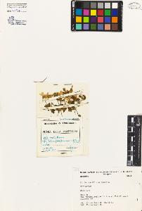 SW_BNB_s3080-05044_IMG-0000000001