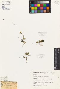 SW_BNB_s3080-05047_IMG-0000000001