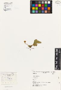 SW_BNB_s3080-05051_IMG-0000000001
