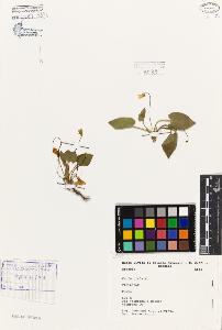 SW_BNB_s3080-05053_IMG-0000000001