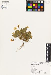 SW_BNB_s3080-05054_IMG-0000000001