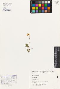 SW_BNB_s3080-05055_IMG-0000000001