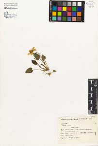 SW_BNB_s3080-05058_IMG-0000000001