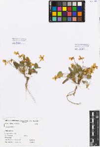 SW_BNB_s3080-05061_IMG-0000000001