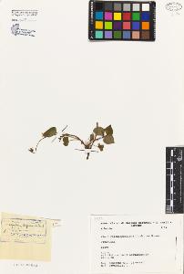 SW_BNB_s3080-05068_IMG-0000000001