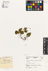 SW_BNB_s3080-05071_IMG-0000000001