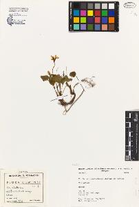 SW_BNB_s3080-05073_IMG-0000000001