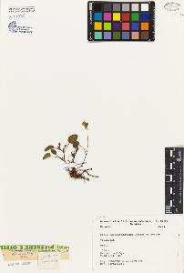 SW_BNB_s3080-05076_IMG-0000000001