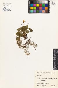 SW_BNB_s3080-05077_IMG-0000000001