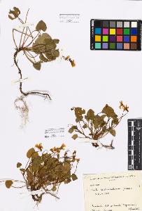 SW_BNB_s3080-05079_IMG-0000000001