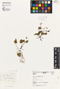 SW_BNB_s3080-05081_IMG-0000000001