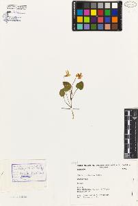 SW_BNB_s3080-05082_IMG-0000000001