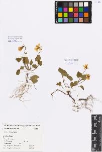 SW_BNB_s3080-05083_IMG-0000000001