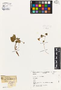 SW_BNB_s3080-05084_IMG-0000000001