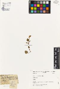 SW_BNB_s3080-05087_IMG-0000000001