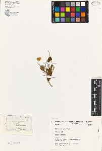 SW_BNB_s3080-05091_IMG-0000000001