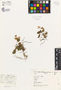 SW_BNB_s3080-05092_IMG-0000000001