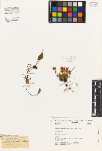 SW_BNB_s3080-05096_IMG-0000000001