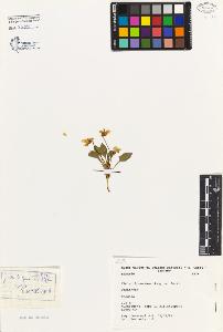 SW_BNB_s3080-05097_IMG-0000000001