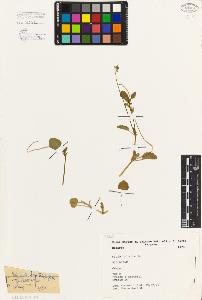 SW_BNB_s3080-05100_IMG-0000000001