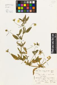 SW_BNB_s3080-05101_IMG-0000000001
