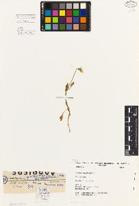 SW_BNB_s3080-05102_IMG-0000000001