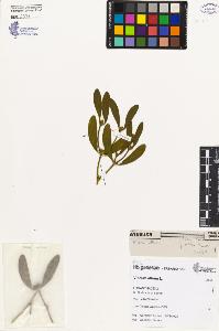 SW_BNB_s3080-05103_IMG-0000000001