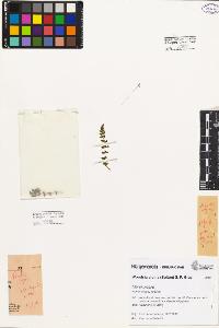 SW_BNB_s3080-05107_IMG-0000000001
