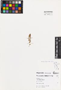 SW_BNB_s3080-05108_IMG-0000000001